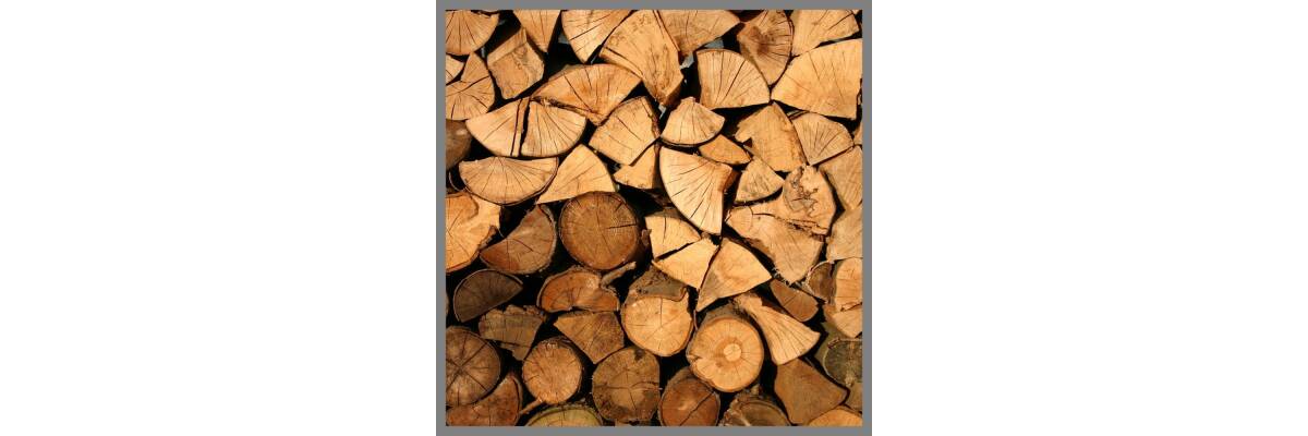 Heizen mit Holz - Wieso Kaminöfen wieder in Mode kommen und welche Vorteile sie bringen - 