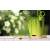 Kräutertopf MEDRA + Schere für Kräuter 15 cm Limettengrün Pflanztopf Blumentopf rund