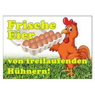 Werbeschild FRISCHE EIER von freilaufenden Hühnern A3 (42x30 cm) Huhn Eier Eierhandel Werbung Eierverkauf