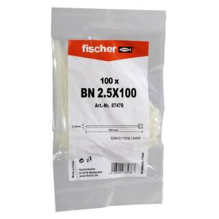 fischer Kabelbinder Nylon BN 2,5x100 mm transparent (100 Stück) 087478