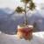 Windhager Thermovlies Jutematte Schutzvlies Winter für Pflanztöpfe 400x50 cm