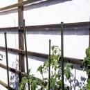 10x Windhager Pflanzstab Pflanzenstütze Rankhilfe Rankstab Stahl grün beschichtet 90 cm