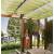 Windhager Sonnensegel-Komplettset mit Befestigung Laufhaken Seil 270x140 cm grün