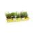 Kr&auml;utergarten Minigarden Tischblumenkasten mit Untersetzer 60cm Farbe Fuchsia