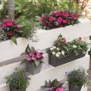 Geli EASY Pflanzgefäß Set für Europaletten Pflanztopf Anthrazit Blumentopf Blumenkübel