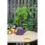 Pflanzset 3x Orchideentopf Orchid 15cm Kunststoff violett + 1x Handdruckkanne Spraycan lila