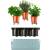 Cobble Trio Design Kräuterkasten mit Bewässerungssystem Kräutertopf Pflanzgefäß kristallweiß